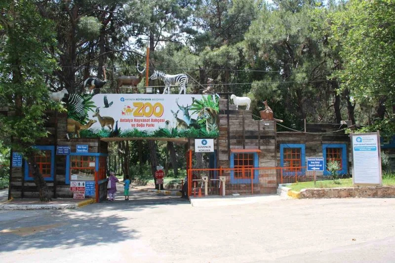 Antalya, ‘Hayvanat Bahçeleri’ toplantısına ev sahipliği yapacak
