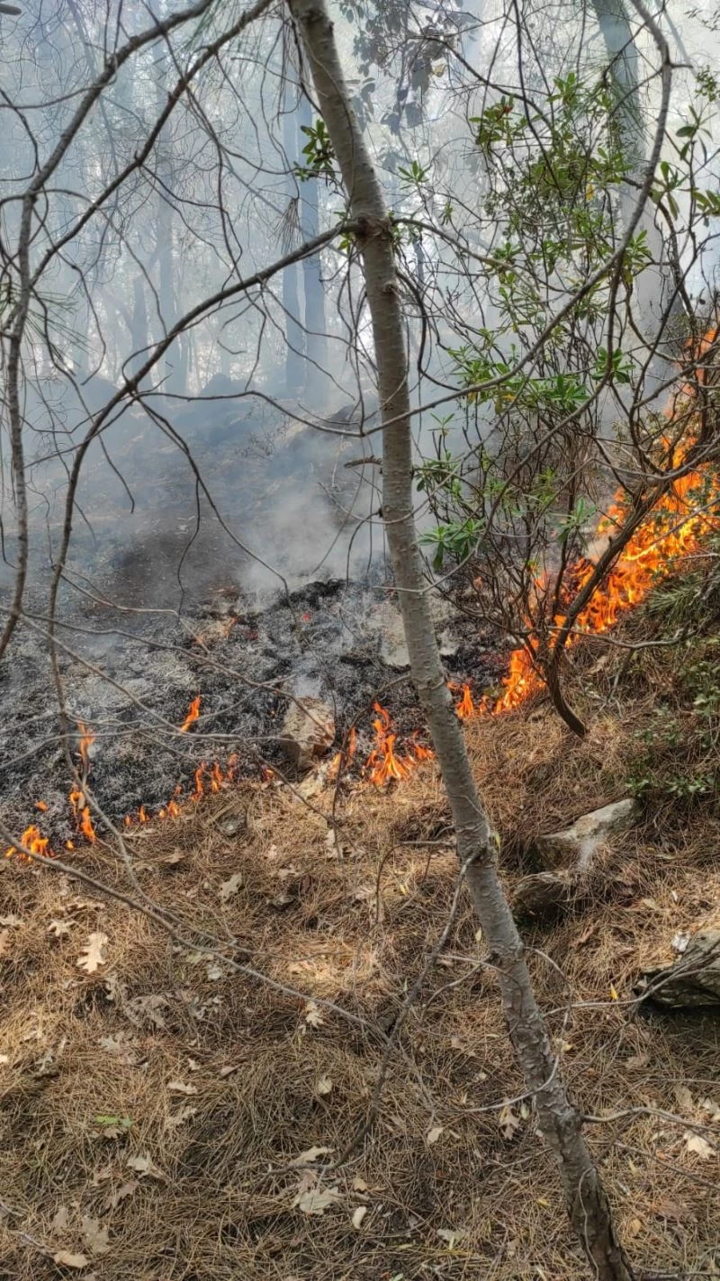 Ormanlık alanda çıkan yangın büyümeden kontrol altına alındı
