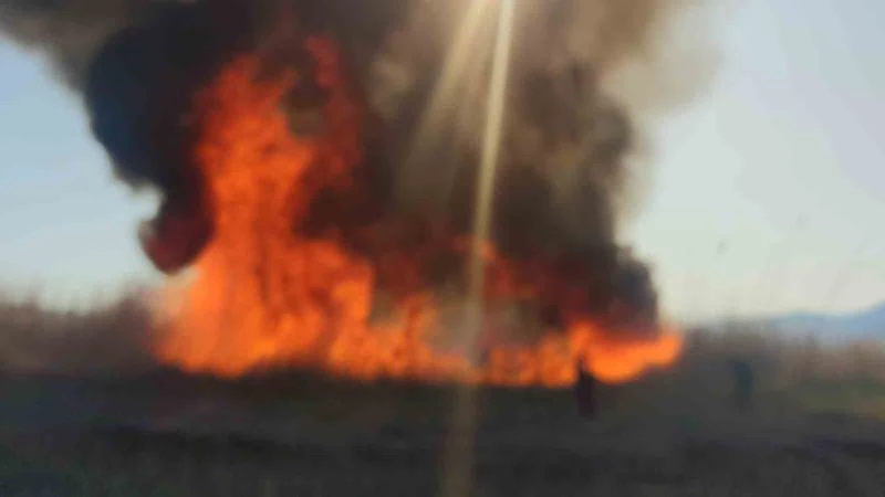 Van’da sazlık yangınları devam ediyor
