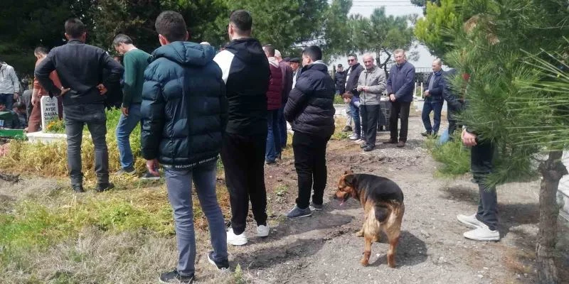 Sokak köpeği Messi cenazelere katılıyor
