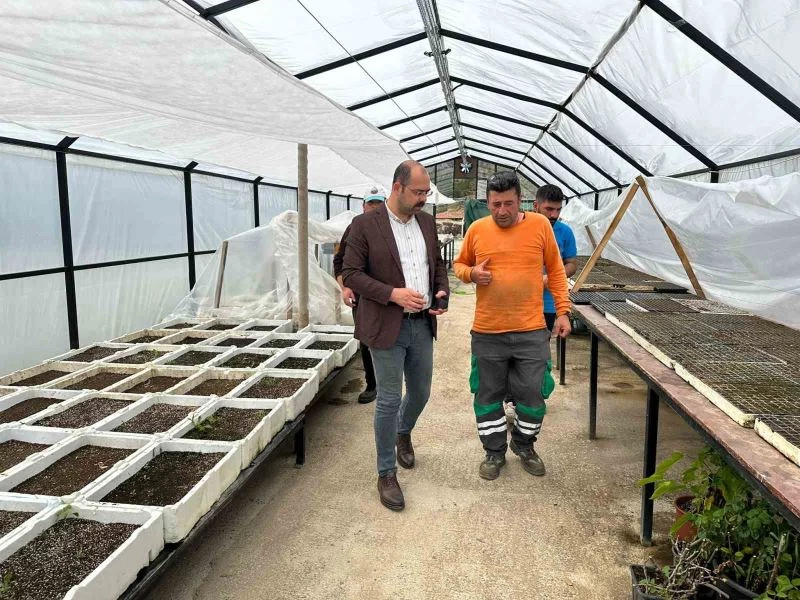 Tosya Belediyesi ilçeyi botanik bahçesine kavuşturacak
