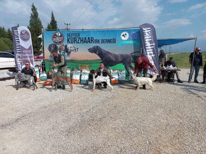 Fermalı av köpekleri Salihli’de yarıştı
