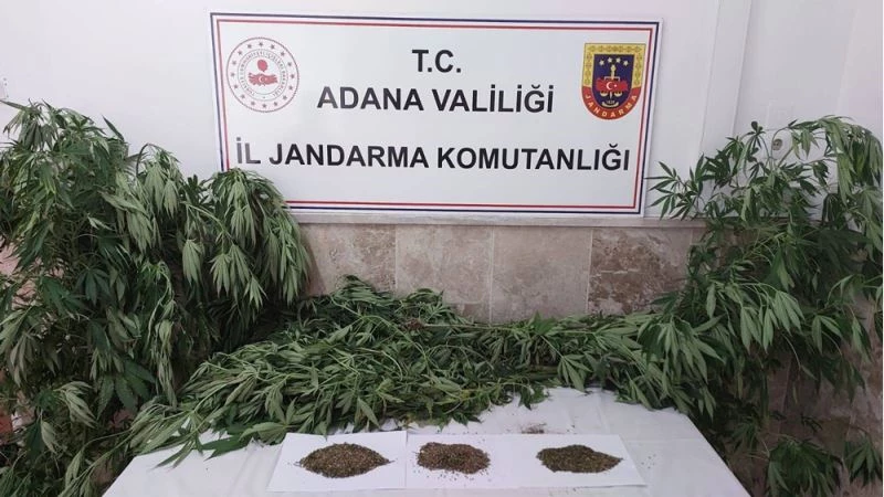 Adana