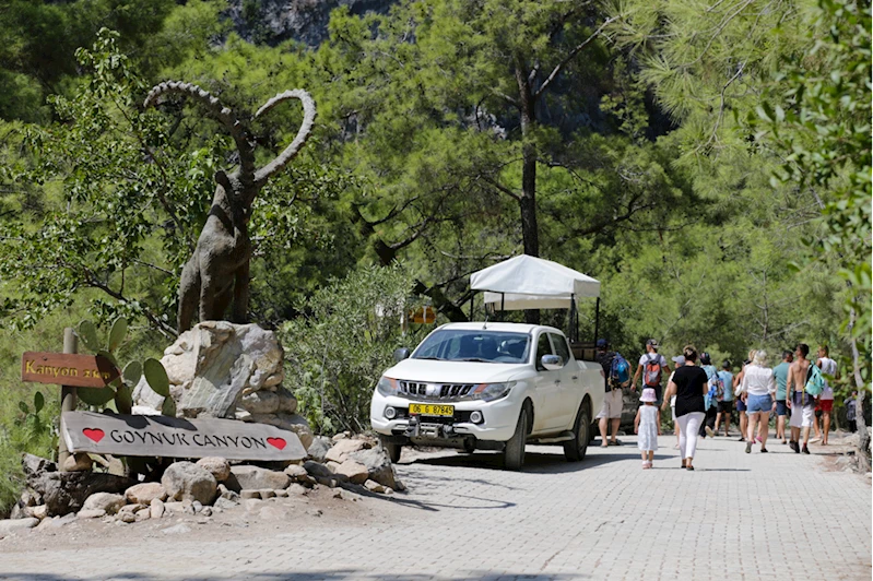 Rus heykeltıraş, kanyondan topladığı ağaç dallarını sanat eserine dönüştürüyor
