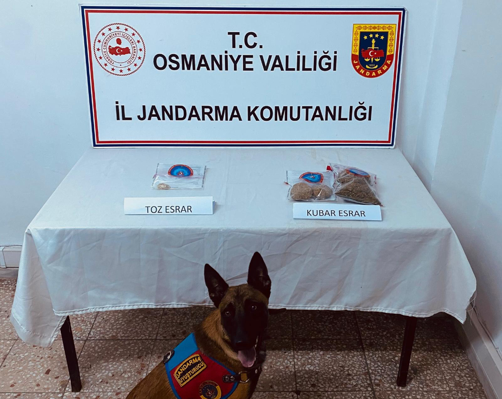 Bahçe’de Uyuşturucu ile Mücadele kapsamında 16 kişi gözaltına alındı