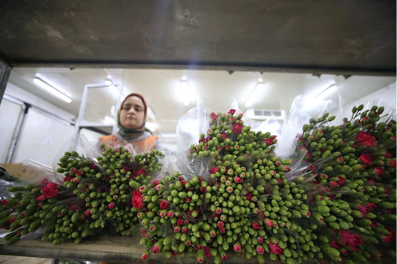 Çiçek sektörünün 2024 hedefi 180 milyon dolar ihracat