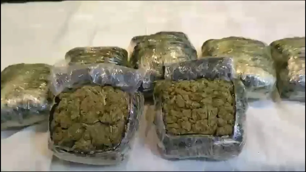 TIR’daki 6 kilo 750 gram Skunk maddesi yakalandı