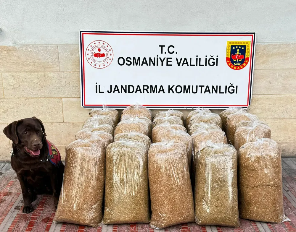 Jandarmadan uyuşturucu ve kaçakçılık operasyonları: 25 gözaltı