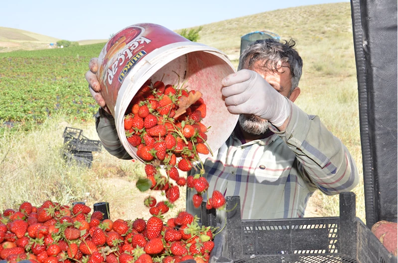 Kahramanmaraş