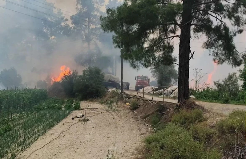 Burdur’da çıkan orman yangını kontrol altına alındı