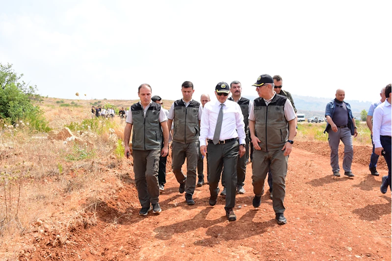 Manavgat yangınının üçüncü yılında yeşeren ormanlık alanlar incelendi