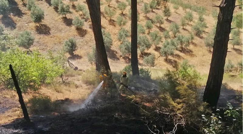 Kahramanmaraş