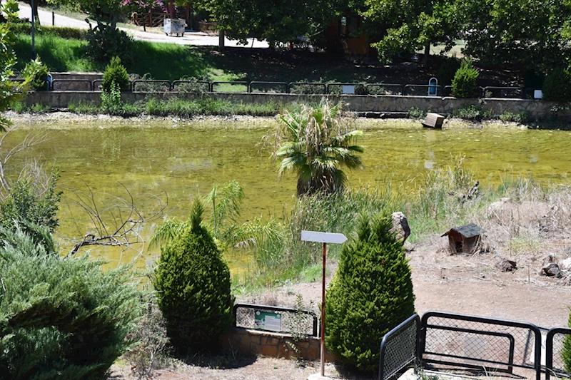 Göç yolundaki Adana yeniden 