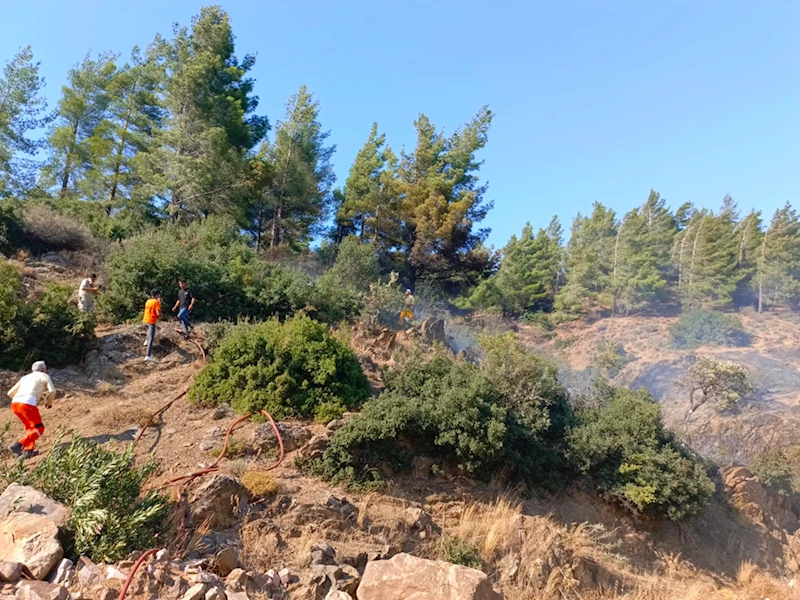 GÜNCELLEME - Hatay