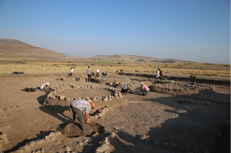 Domuztepe Höyüğü