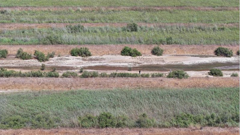 Bekçiliğini yaptığı araziyi değerlendirip yılda 3 ton deniz börülcesi üretimine ulaştı