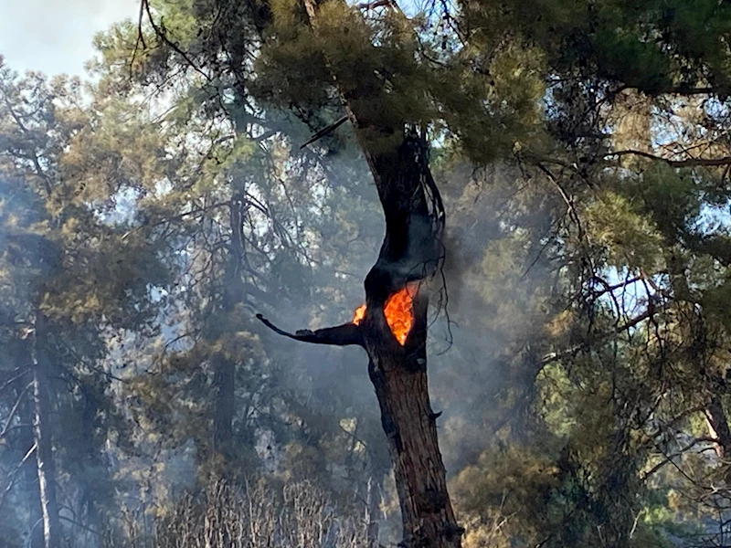 GÜNCELLEME - Antalya