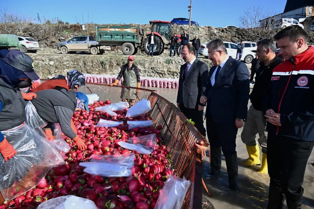 Vali Yılmaz, Kadirli’de Turp İşçilerini Ziyaret Etti