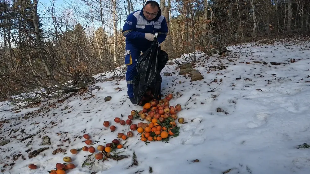 Osmaniye’de, yaban hayvanları unutulmadı
