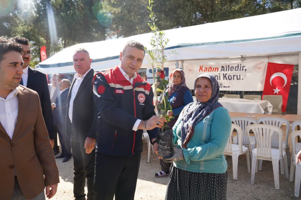 Vali yılmaz, kadın çiftçilerle ceviz hasadı yaptı