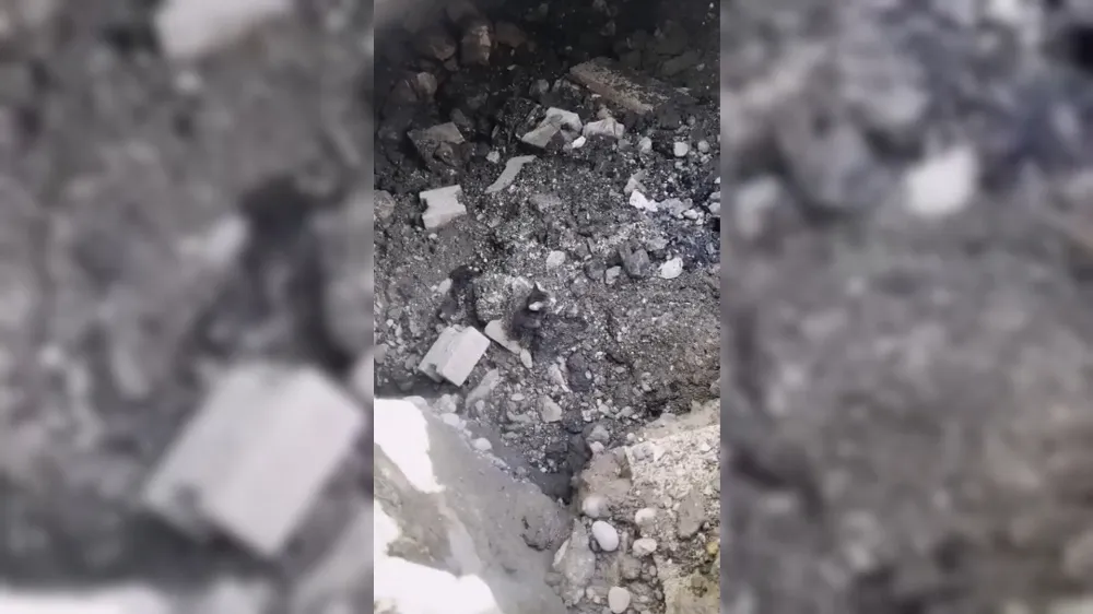 Osmaniye’de çukura düşen yavru kedi itfaiye ekiplerince kurtarıldı