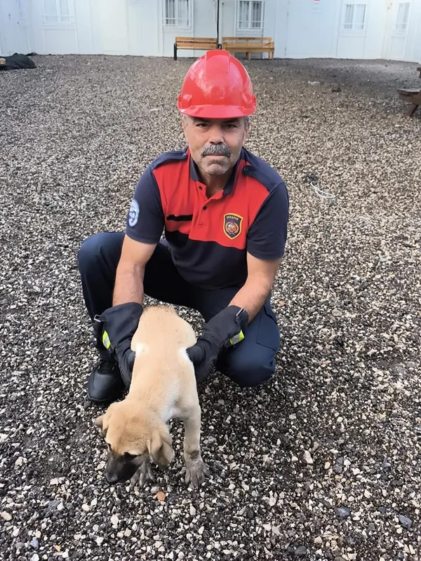 Dörtyol ilçesinde korkuluğa sıkışan köpek yavrusunu itfaiye ekibi kurtardı 