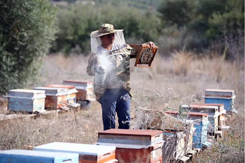 Baba mesleği arıcılığa başlayan kadın kovan sayısını 12