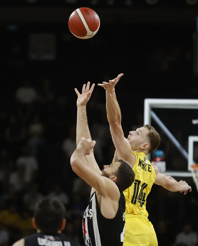 Türkiye Sigorta Basketbol Süper Ligi