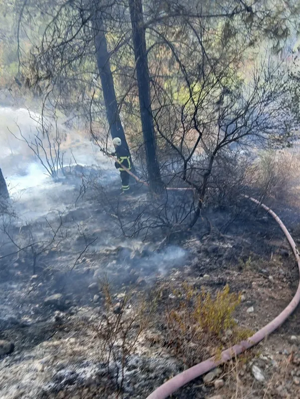 Erzin ilçesinde çıkan orman yangını söndürüldü