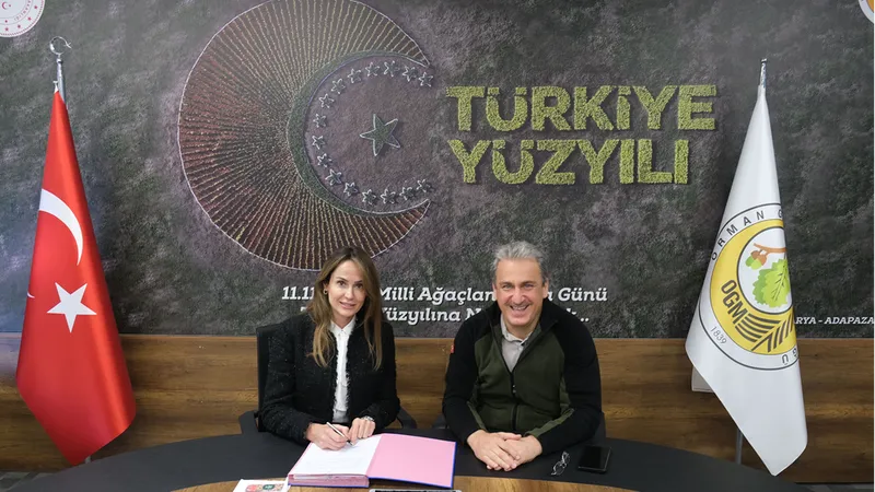 Yıldızlar Yatırım Holding