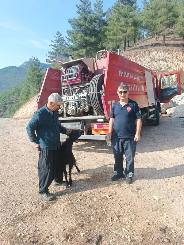 Feke ilçesinde kayalıklarda mahsur kalan keçiyi itfaiye ekibi kurtardı