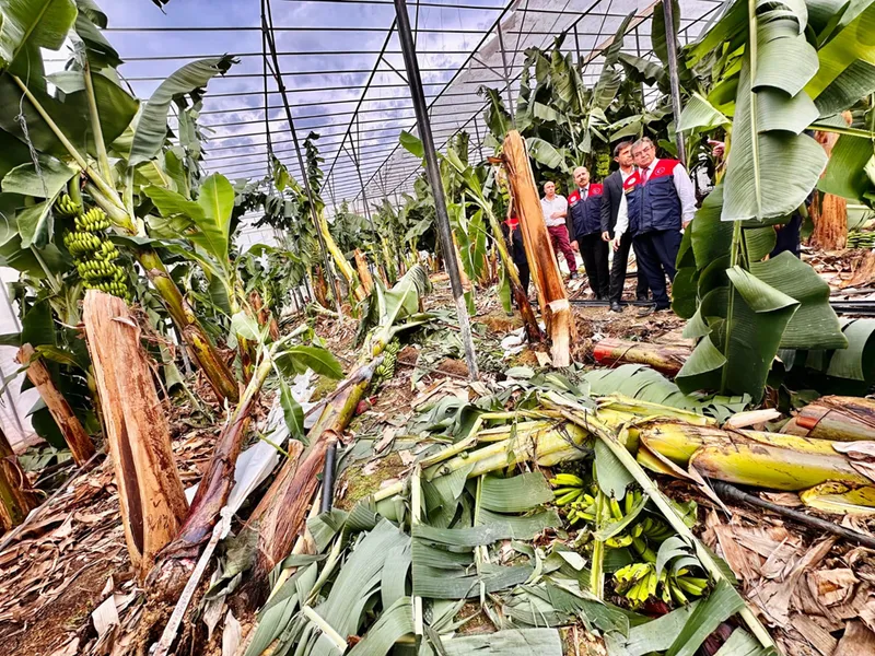 İl Tarım ve Orman Müdürü Karadağ, Bozyazı
