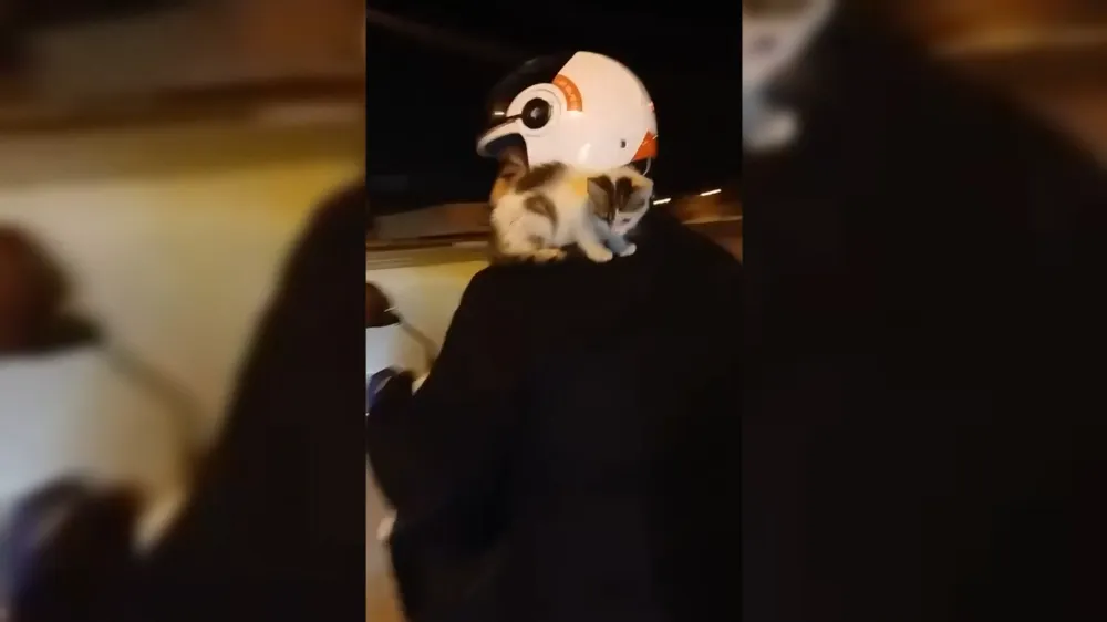 Osmaniye’de motosiklet sürücüsünün yavru kediyi sahiplenişi yürekleri ısıttı