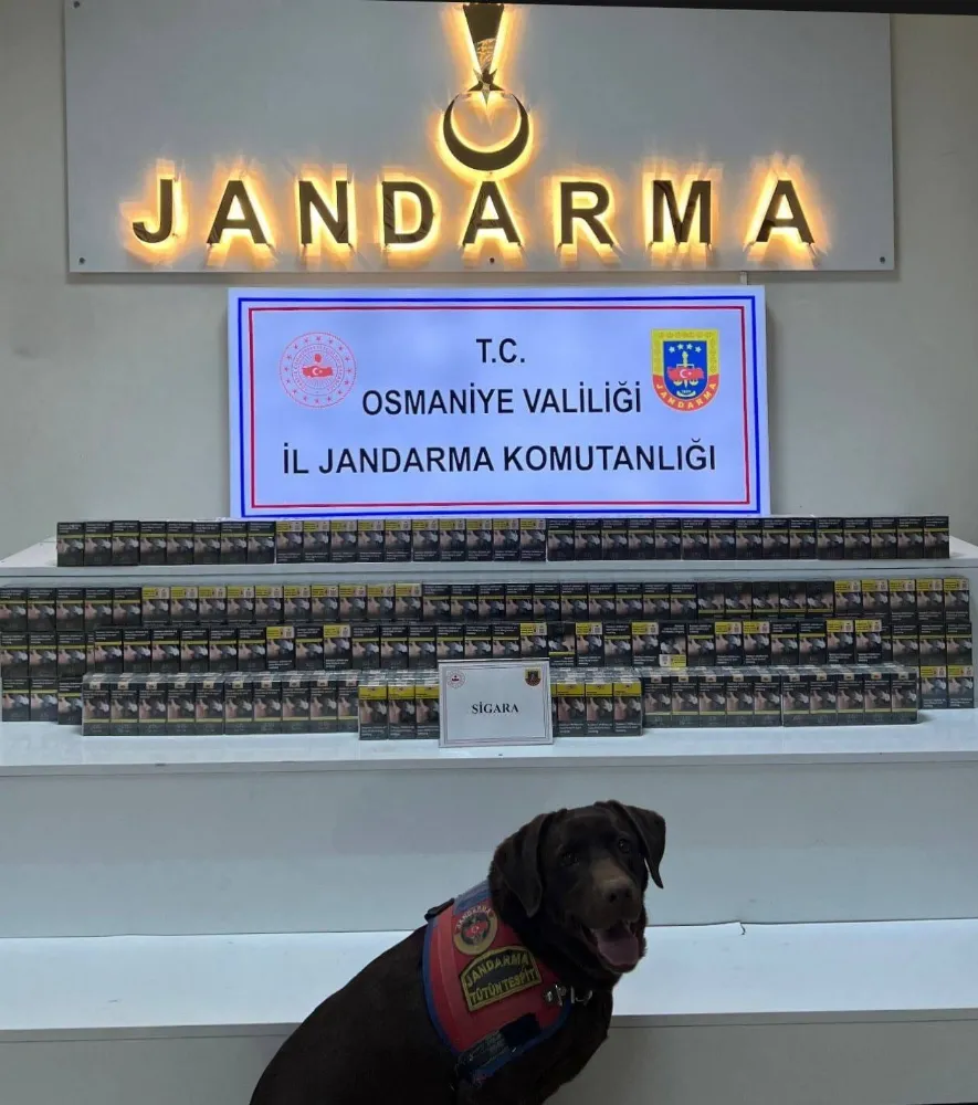 Osmaniye’de jandarma son bir haftada 170 şüpheliyi yakaladı