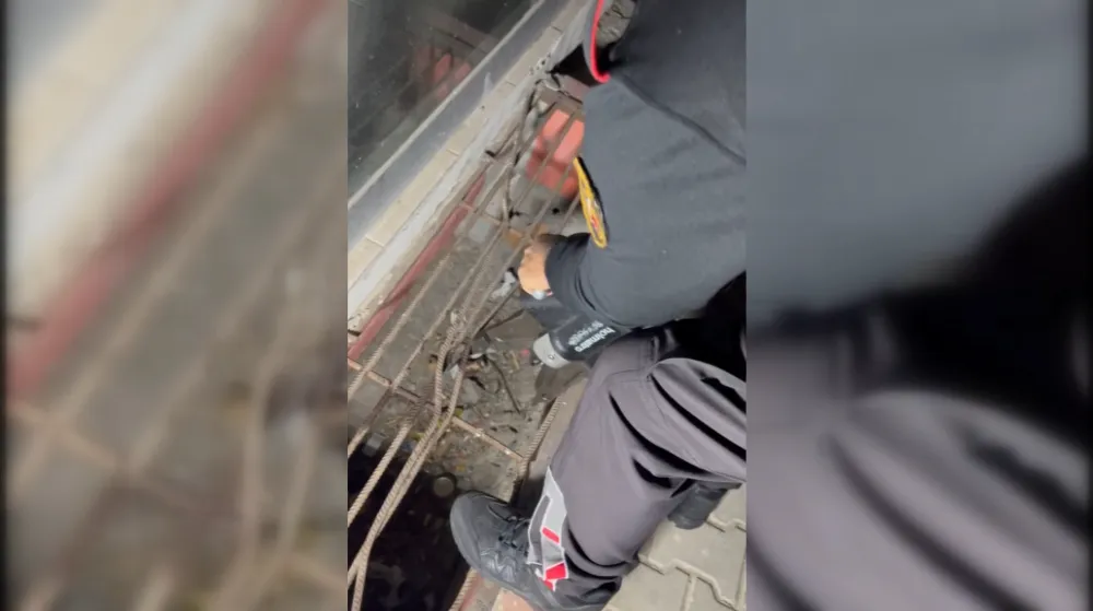 Osmaniye’de mazgala düşen yavru kedi itfaiye ekiplerince kurtarıldı