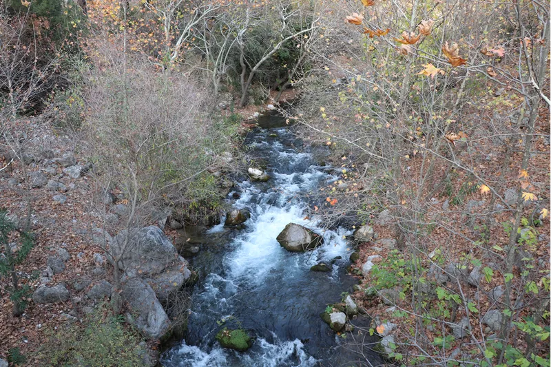 Karanlıkdere Kanyonu