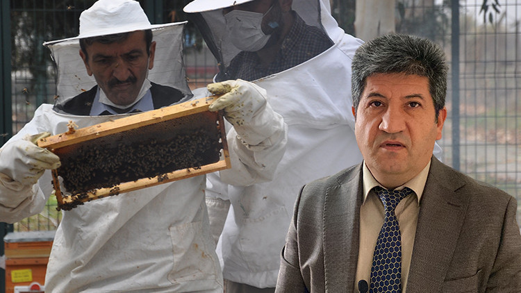 Prof. Dr. Aziz Gül: İyi bal donar, endişe etmeyin