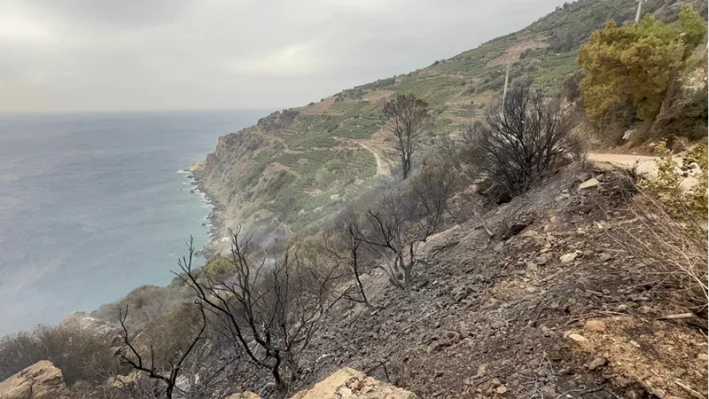 GÜNCELLEME - Antalya