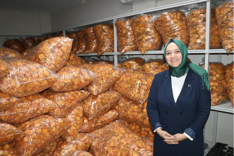 Devlet desteğiyle Trabzon hurması cipsi üreten kadın girişimci, istihdam ve kapasitesini artırdı
