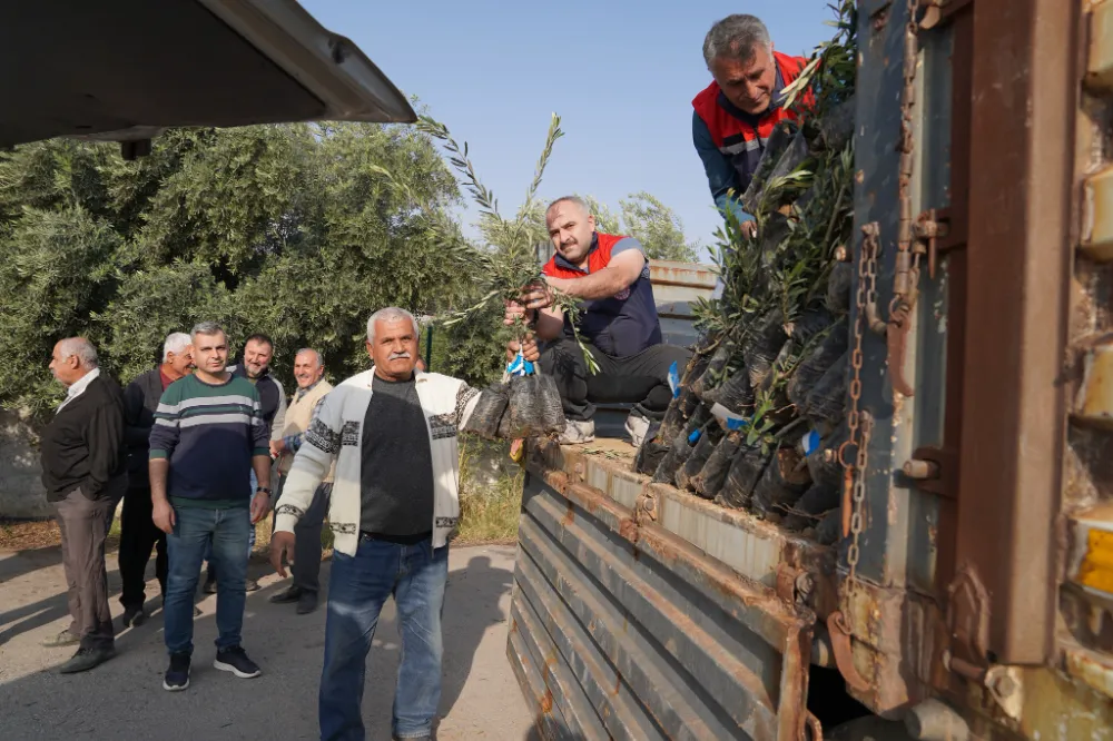 Osmaniye’de çiftçilere 61 bin 106 adet sertifikalı zeytin fidanı dağıtıldı