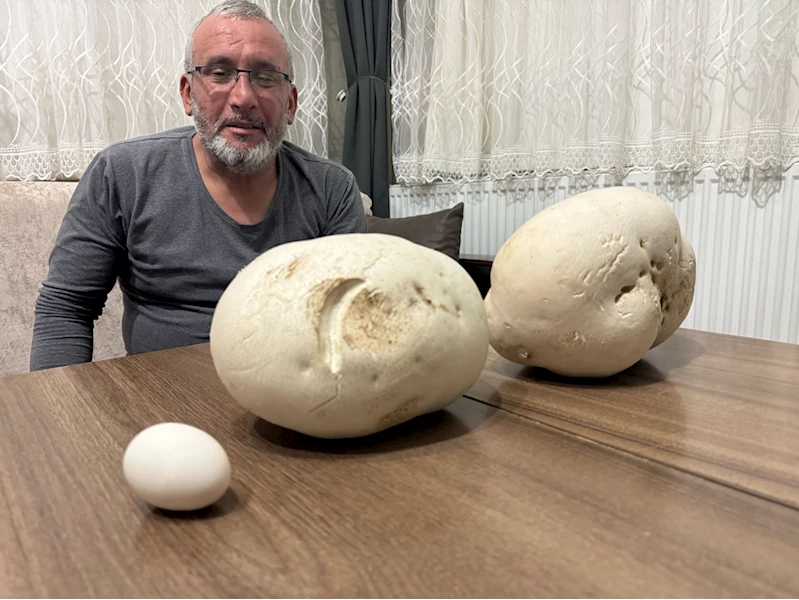 Ispartalı doğasever yürüyüş sırasında 