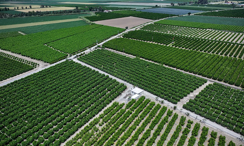 YENİ NESİL ÇİFTÇİLER - Yazılım mühendisi genç çiftçinin hedefi üretimde dijitalleşme