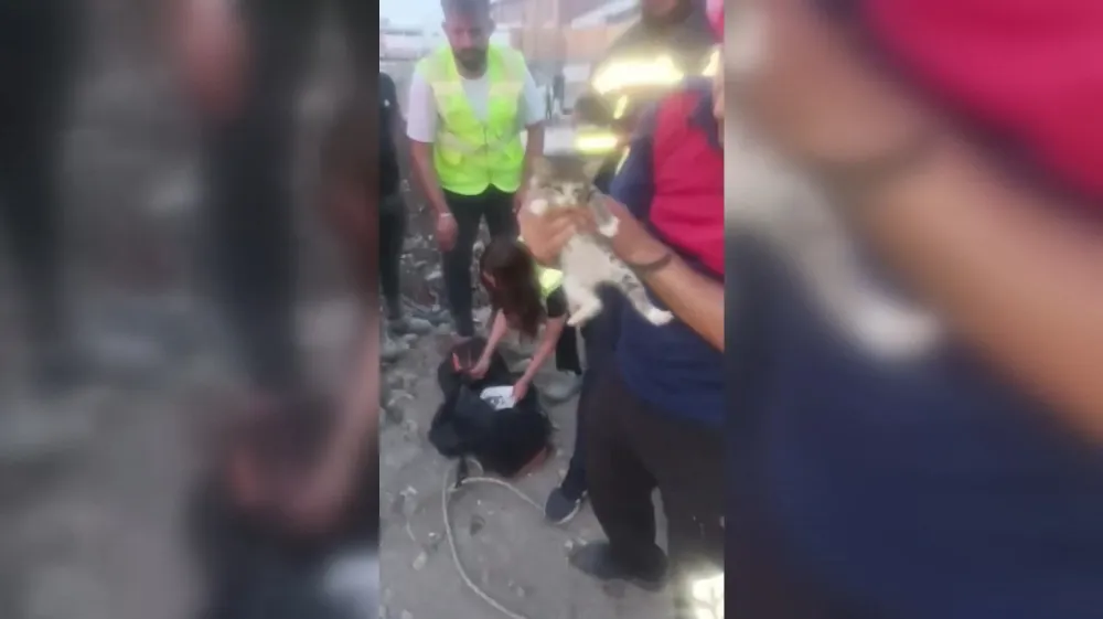 Osmaniye’de inşaat kuyusuna düşen kedi kurtarıldı