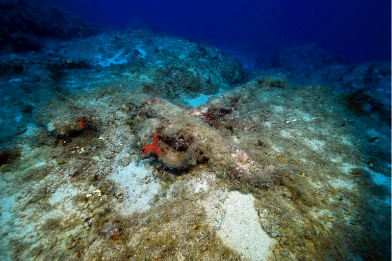 Antik ticaret yolunda bulunan Besmi Adası yakınındaki gemi batığının kalıntıları görüntülendi