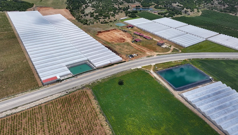 Seracılığın merkezi Elmalı