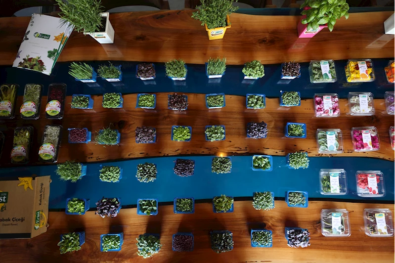 Yenilebilir çiçekler, lüks restoranların menülerini süslüyor