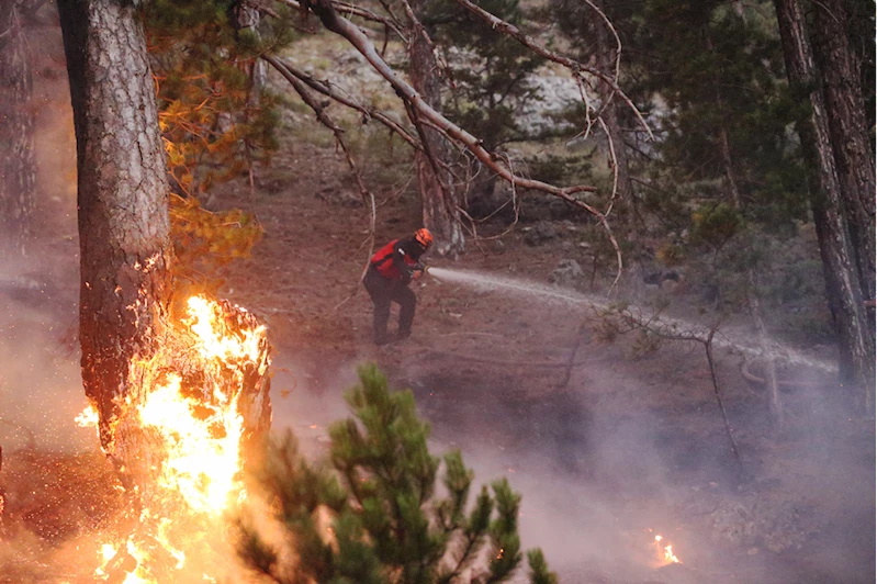 GÜNCELLEME - Antalya