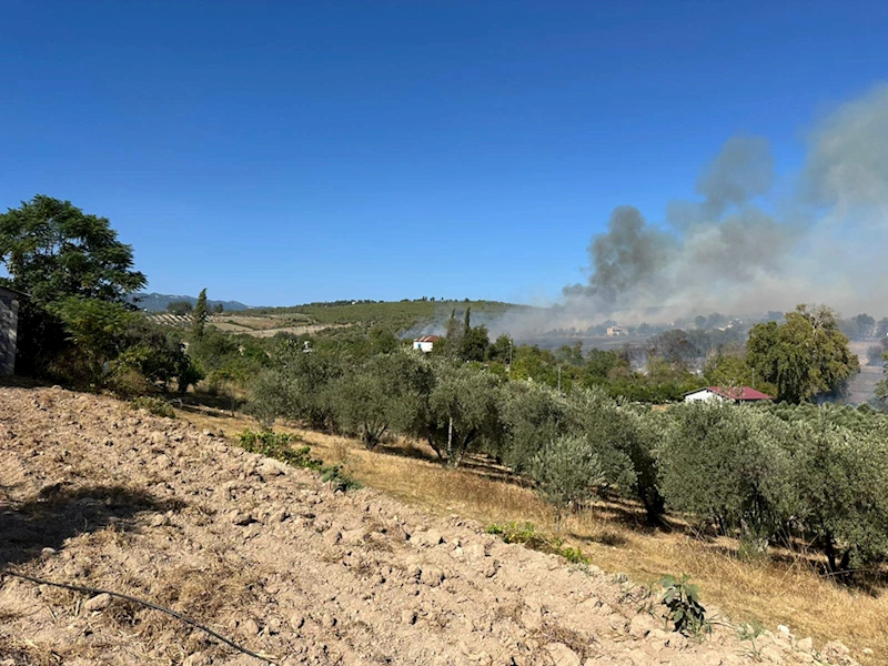 GÜNCELLEME - Osmaniye