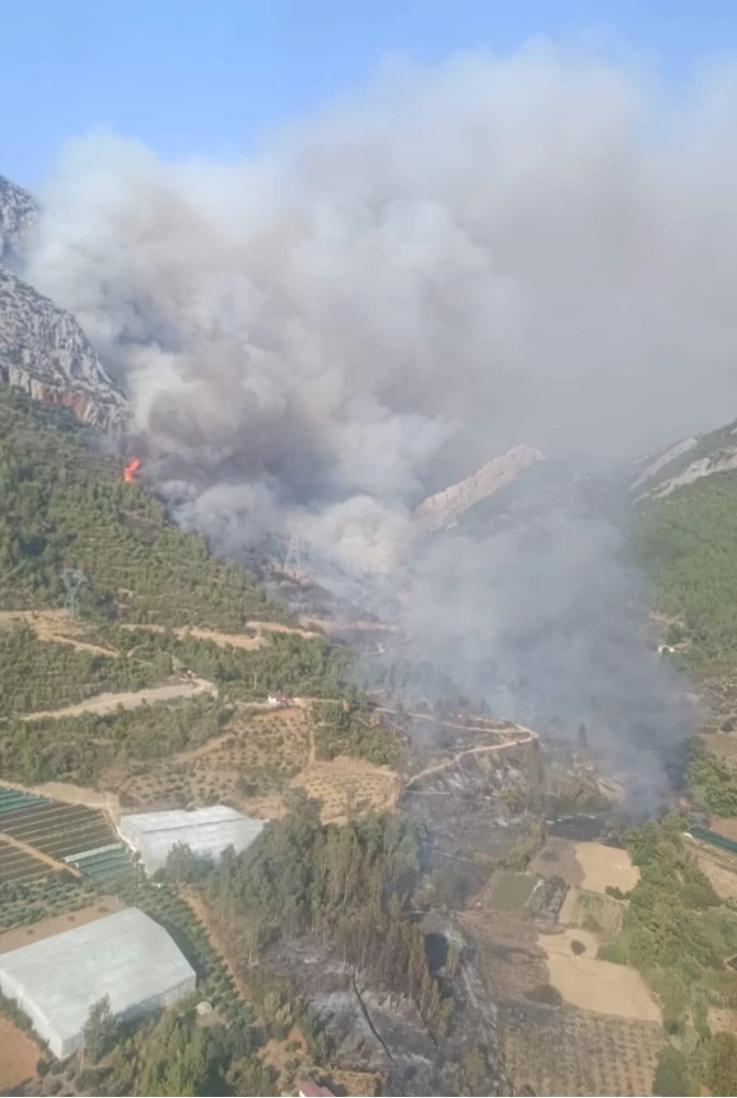 Mersin Valisi Toros, Silifke ve Anamur