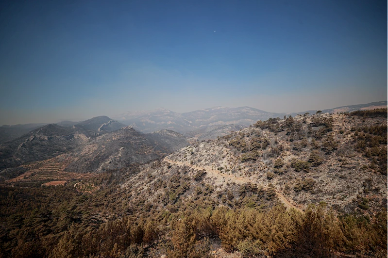 GÜNCELLEME - Mersin
